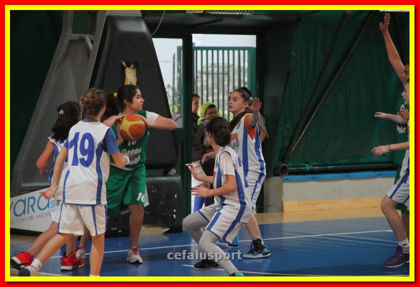 140301 GM_basket 243_tn.jpg
